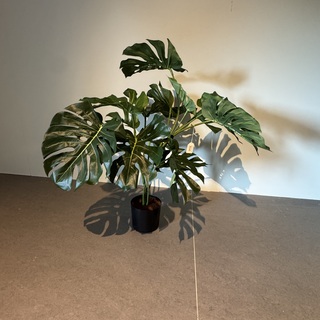 Kunstplant Colours&Green, Plant Split Philo